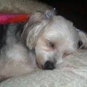 Meet your Posher, Ann